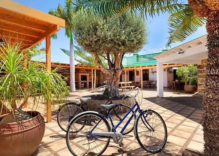 Villa Lanzarote The Olive - Pool Heated