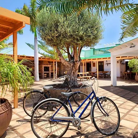 빌라 Lanzarote The Olive - Pool Heated